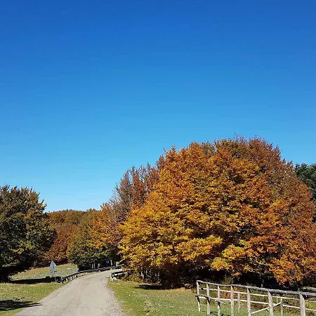 Rifugio Montescuro Hotel Celico