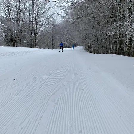 Rifugio Montescuro *
