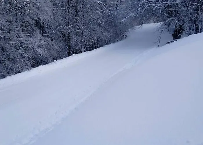 מלון Rifugio Montescuro Celico