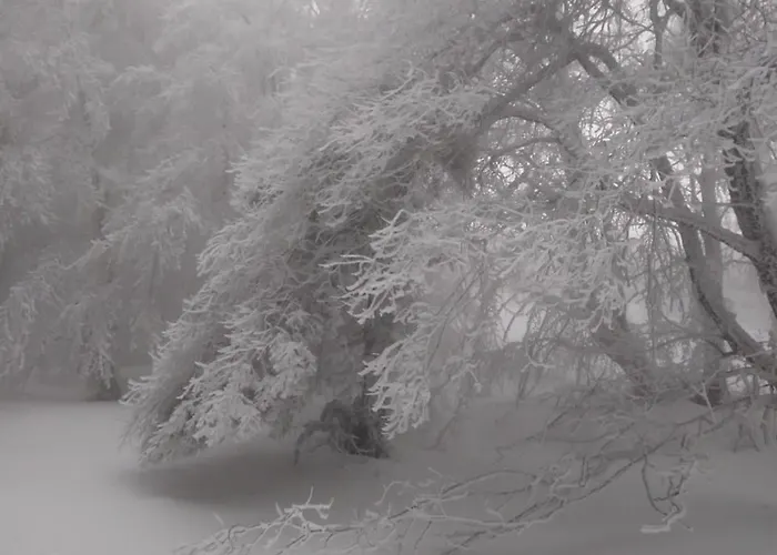 Rifugio Montescuro מלון