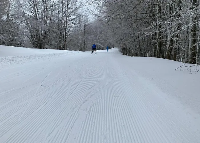 Rifugio Montescuro *